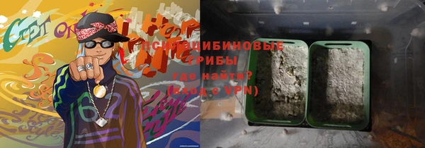 дживик Киреевск