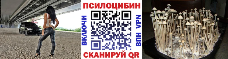 Купить закладки  Заволжск  Галлюциногенные грибы ЛСД 